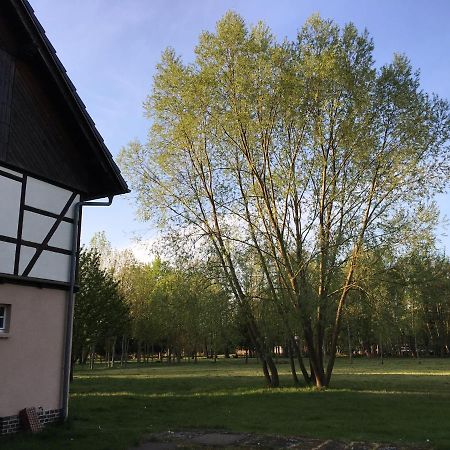 Spreewaldhaus Melcher Burg (Spreewald) Exterior foto